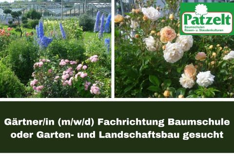 Gärtner/in (m/w/d) Fachrichtung Baumschule oder Garten- und Landschaftsbau
