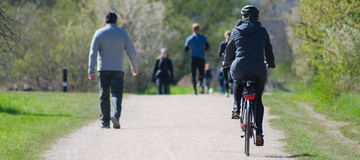 Grüne wollen Fahrradstellplätze für Uni nachrüsten