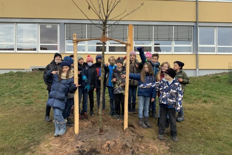 Mühlendorfer Schüler werden Baumpaten