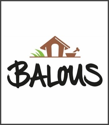 Balous - Erste Hilfe am Hund